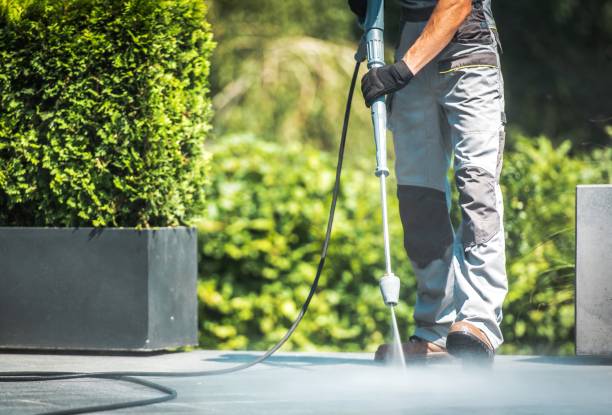 Best Animal Enclosure Cleaning  in Elgin, TX