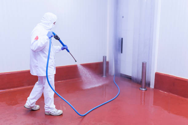 Best Paint Preparation  in Elgin, TX